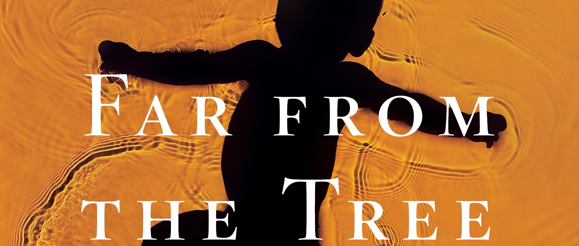 Book cover for Far from the Tree: Parents, Children, and the Search for Identity